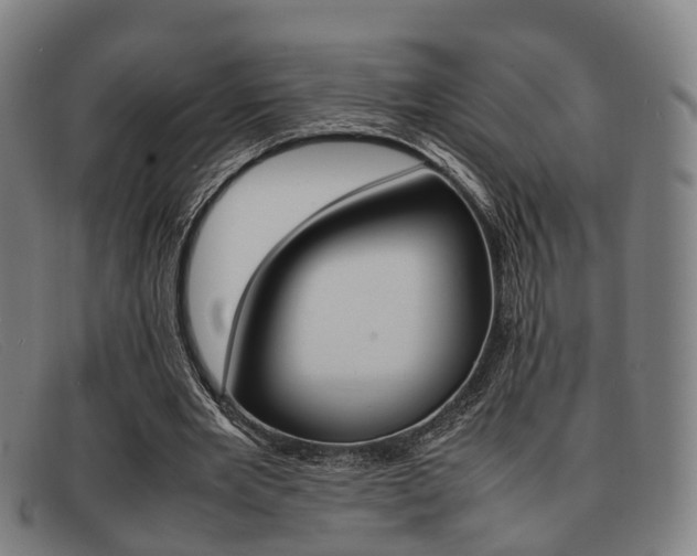 X0000092060485200709121009