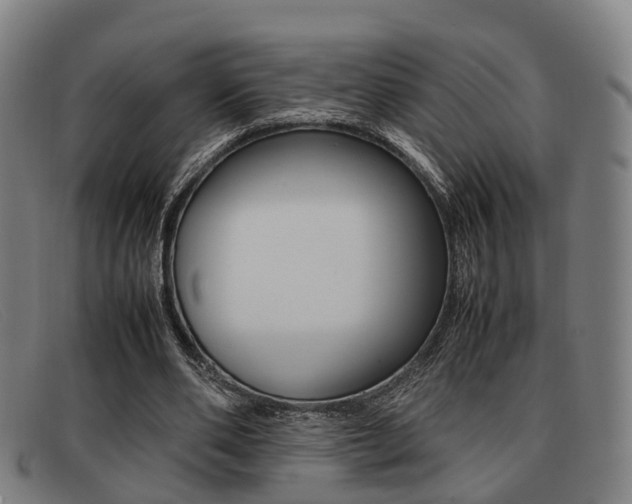 X0000092060486200709121009