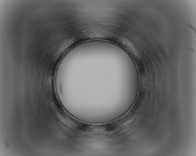 X0000092060491200709121008
