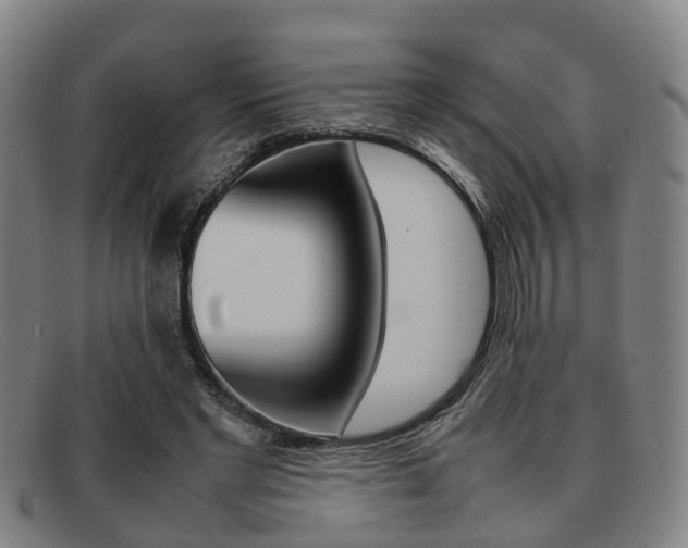 X0000092060493200709121008