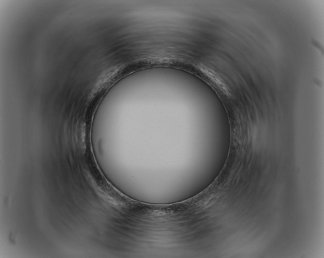 X0000092060494200709121008