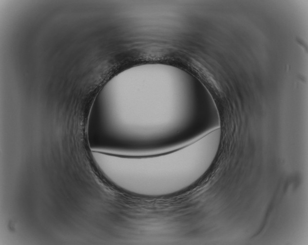X0000092060497200709121008