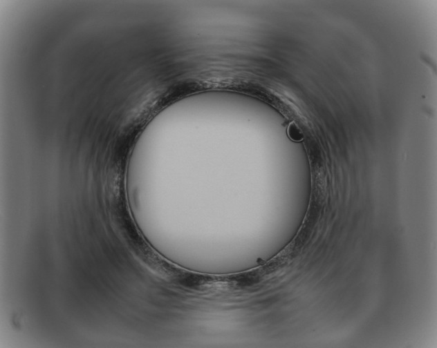 X0000092060499200709121008