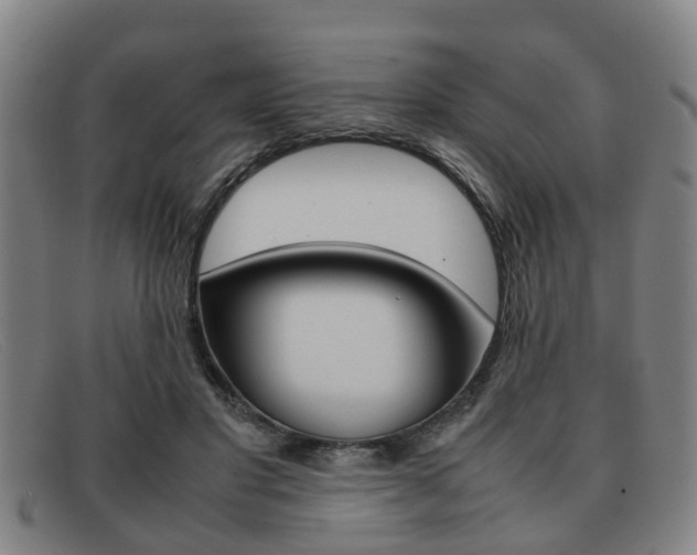 X0000092060501200709121008