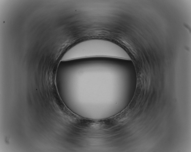 X0000092060504200709121008