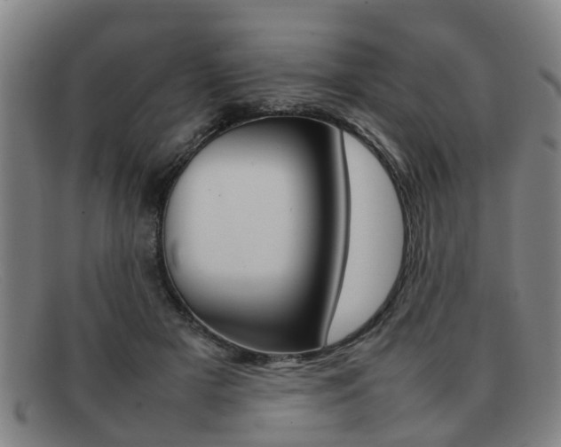 X0000092060505200709121008
