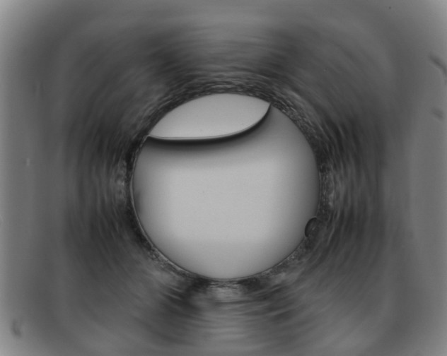 X0000092060510200709121008