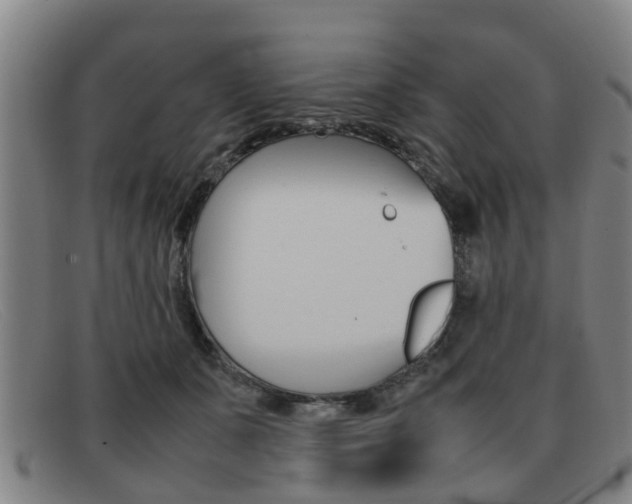 X0000092060511200709121008