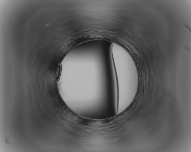 X0000092060513200709121008