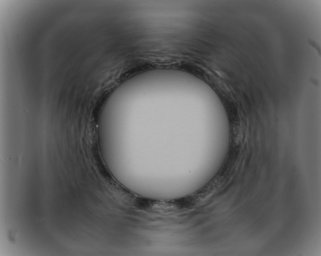 X0000092060515200709121008