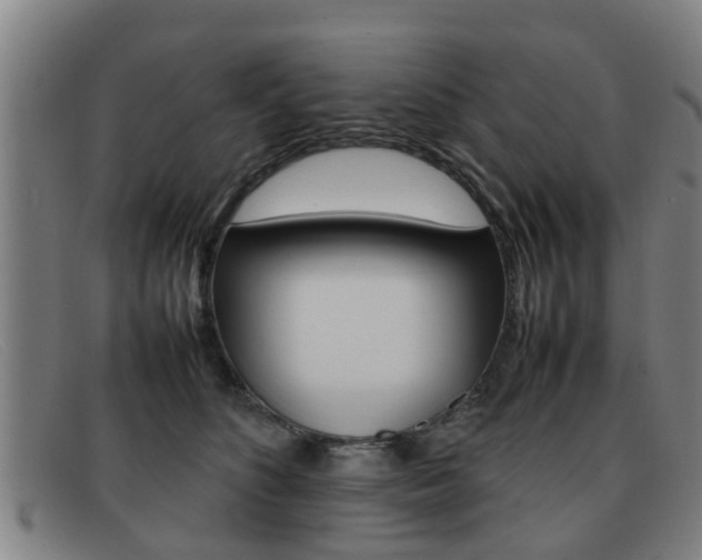 X0000092060516200709121008