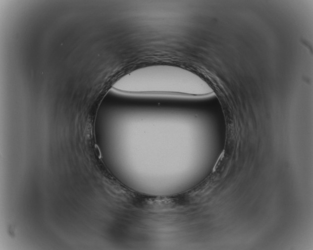 X0000092060517200709121008