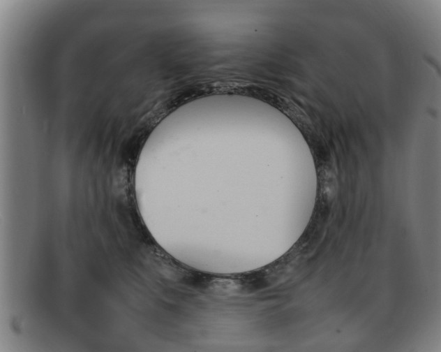 X0000092060519200709121008