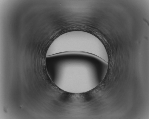 X0000092060521200709121008