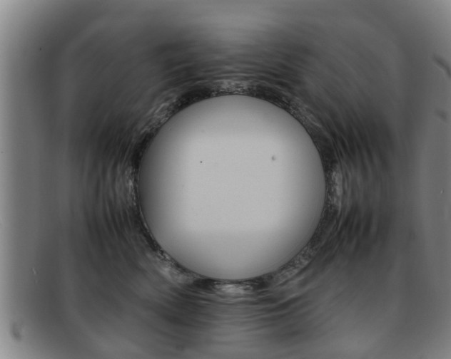 X0000092060522200709121008