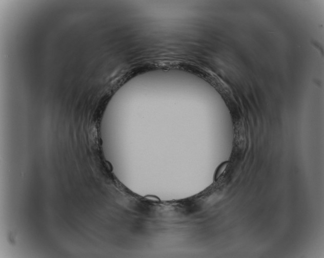 X0000092060523200709121008