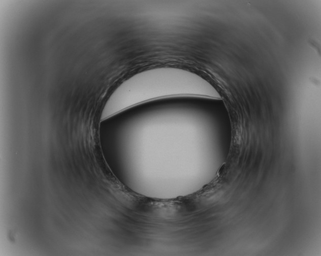 X0000092060524200709121008