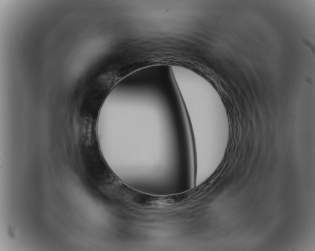 X0000092060525200709121008