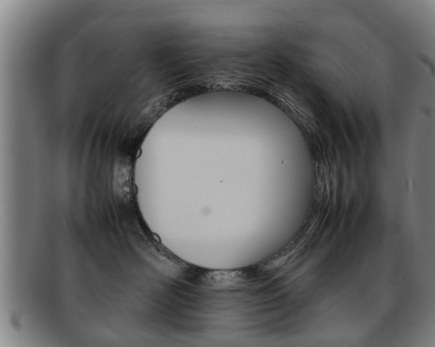 X0000092060526200709121008