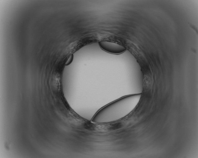 X0000092060527200709121008