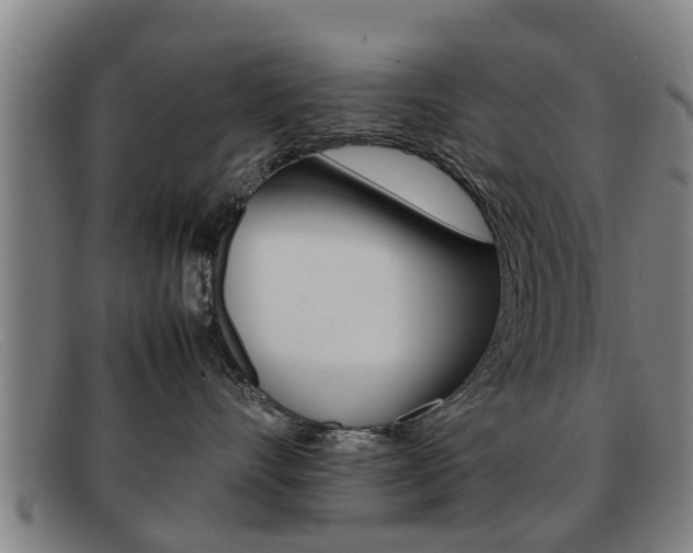 X0000092060528200709121008