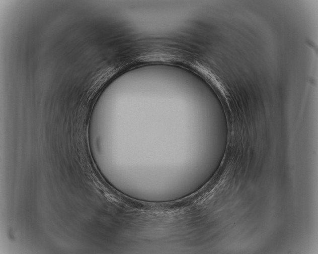 X0000092060529200709121007