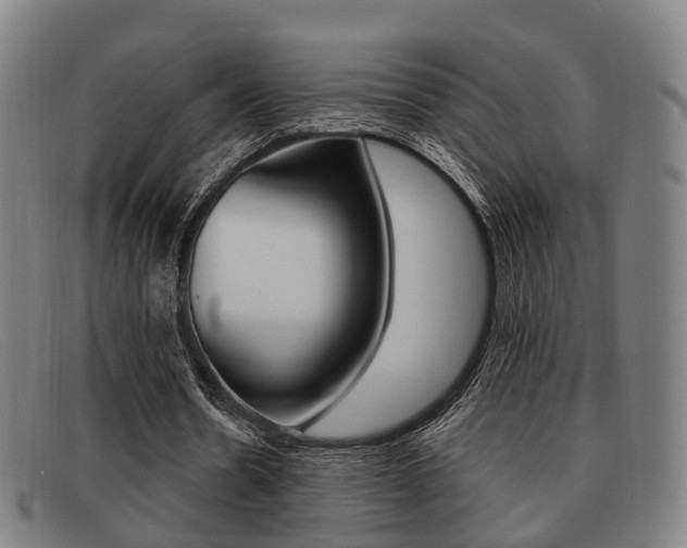 X0000092060530200709121007