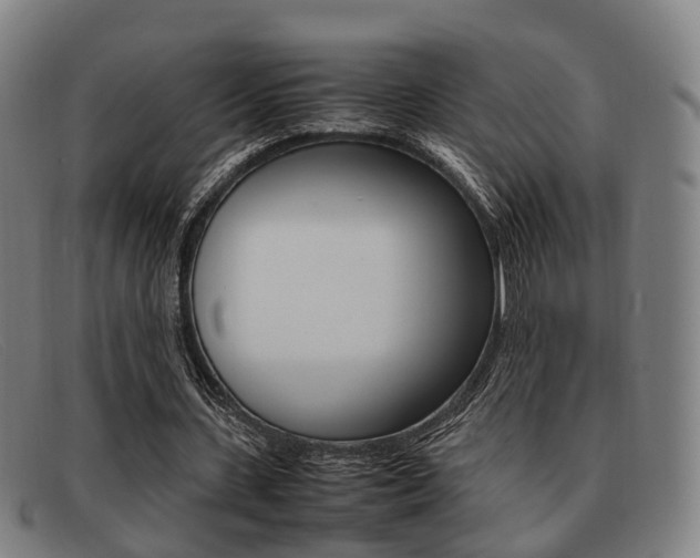X0000092060531200709121007