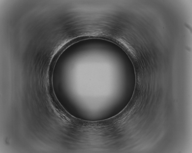 X0000092060532200709121007