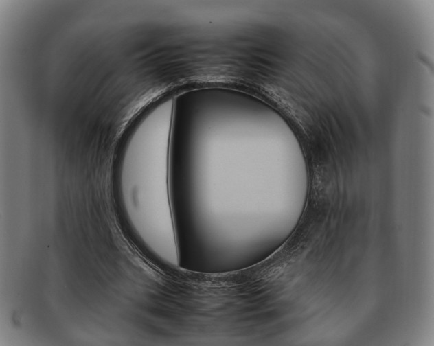 X0000092060535200709121007