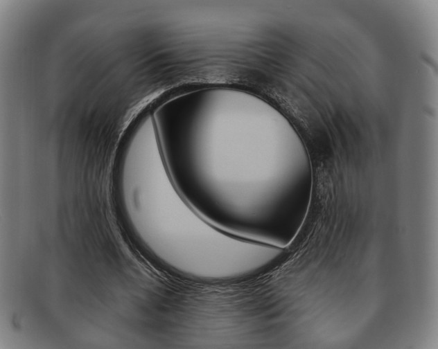 X0000092060536200709121007