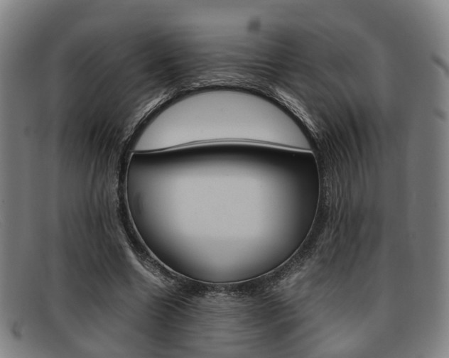 X0000092060538200709121007