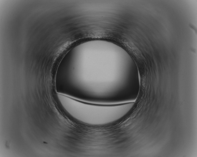 X0000092060540200709121007