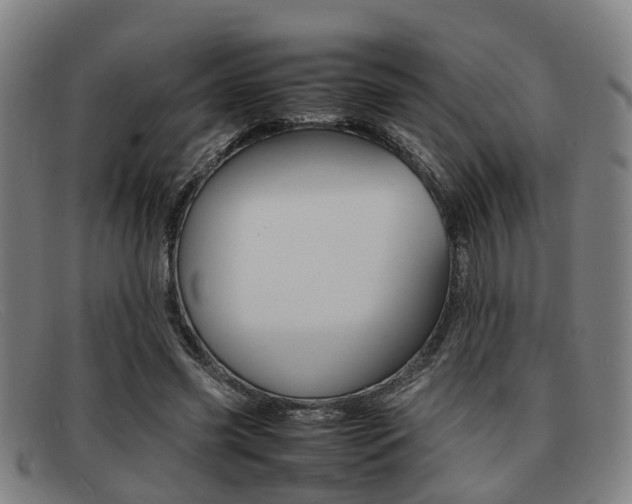 X0000092060541200709121007