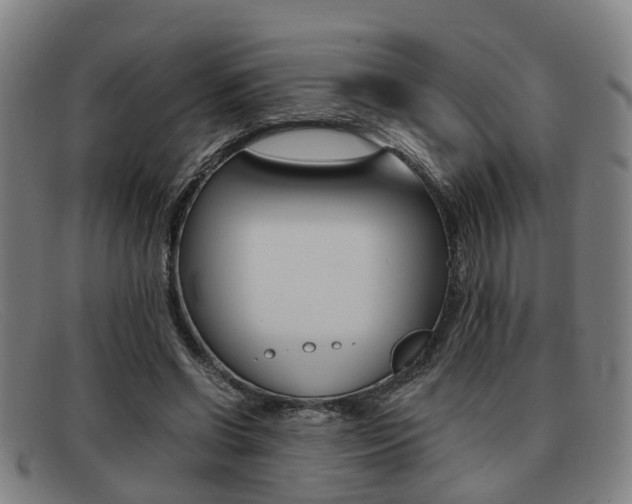 X0000092060542200709121007