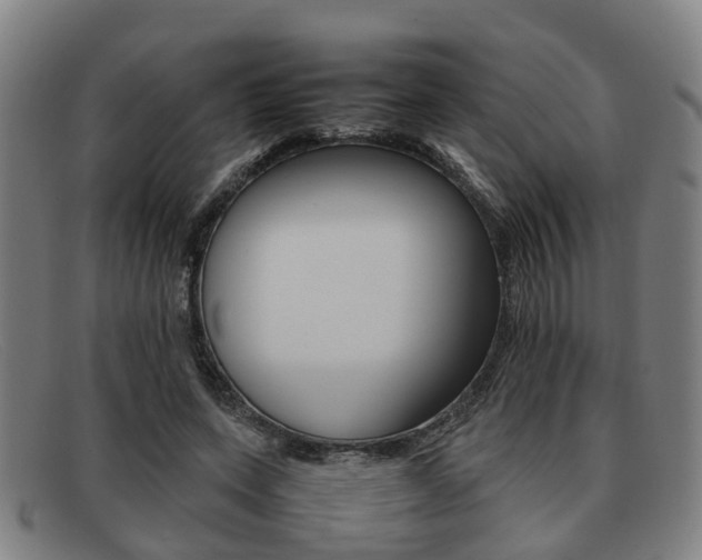 X0000092060543200709121007