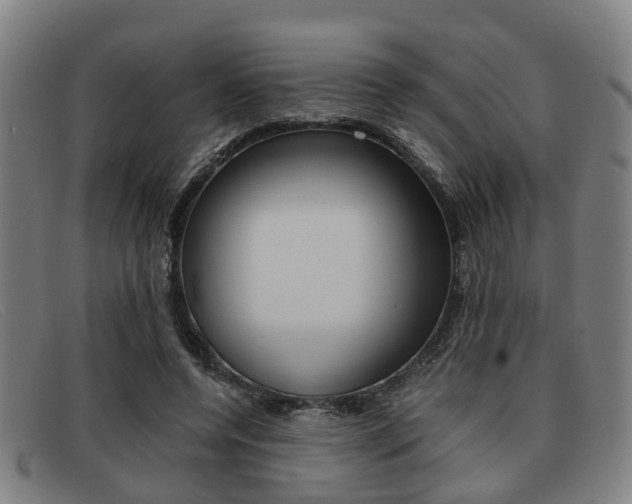 X0000092060544200709121007