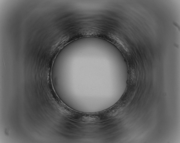 X0000092060545200709121007