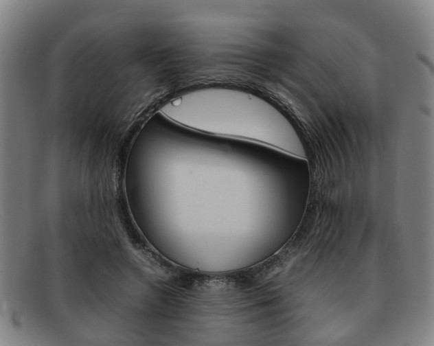 X0000092060546200709121007