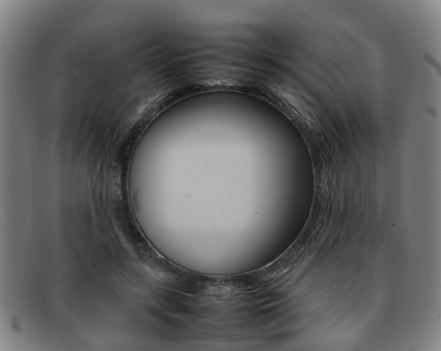 X0000092060547200709121007