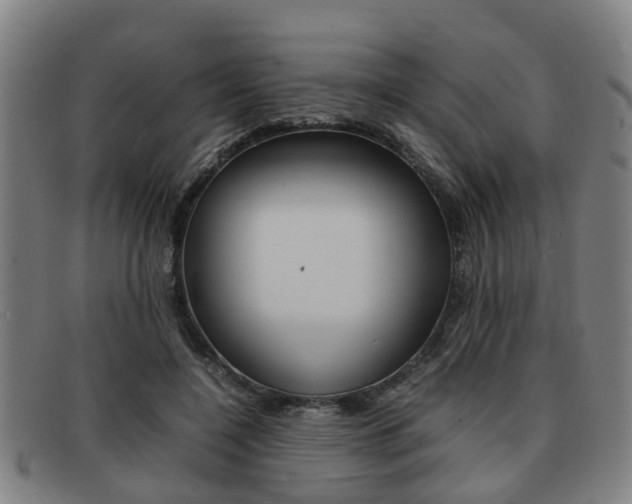 X0000092060548200709121007