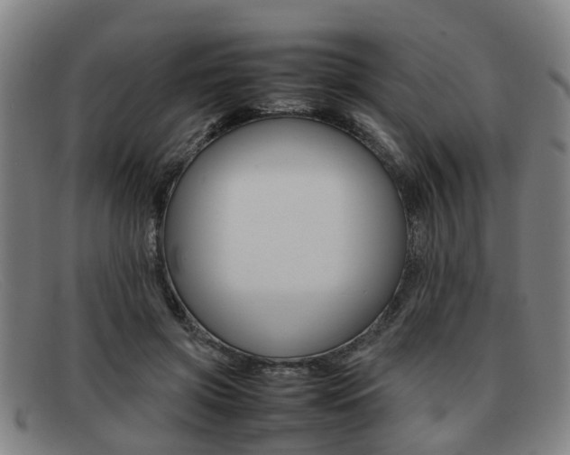 X0000092060549200709121007