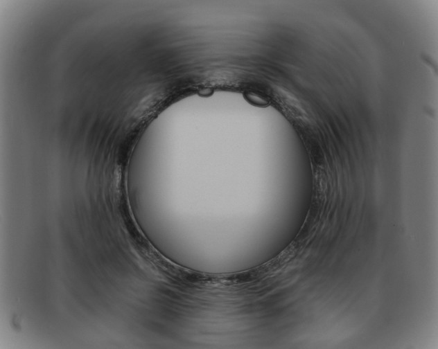 X0000092060550200709121007