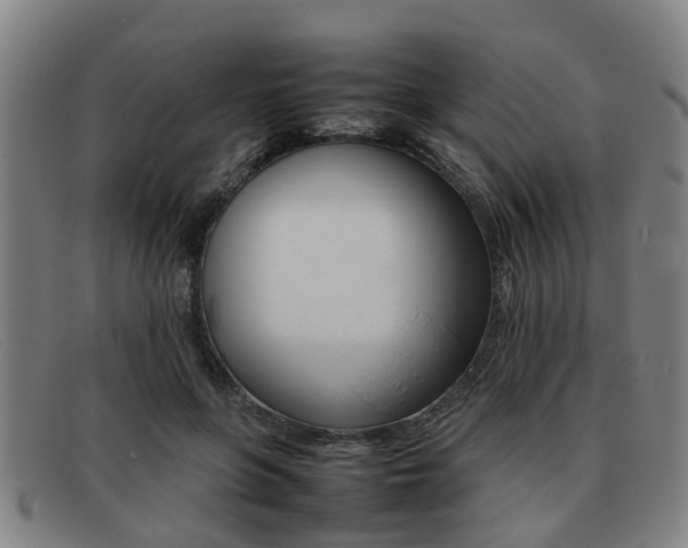 X0000092060551200709121007