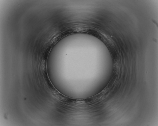 X0000092060554200709121007