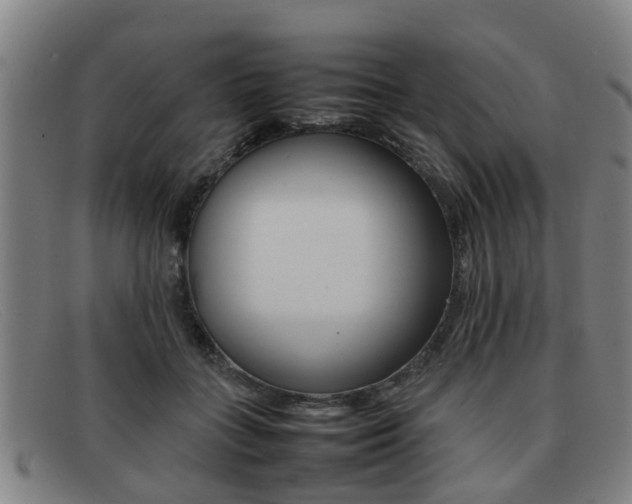 X0000092060555200709121007