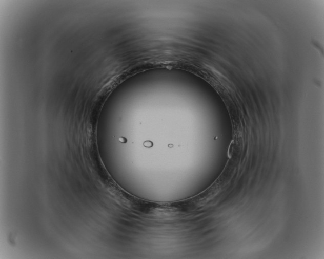 X0000092060556200709121008