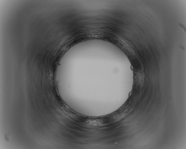X0000092060557200709121008