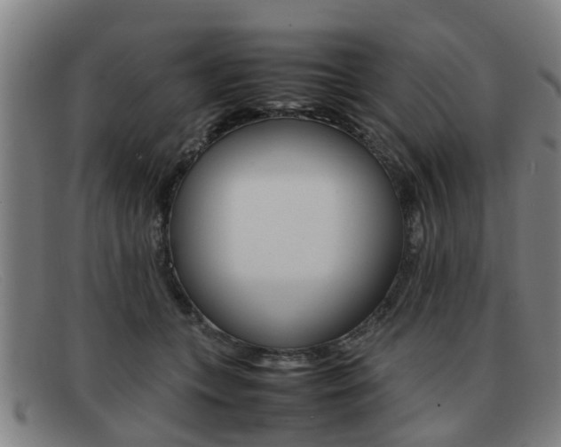 X0000092060559200709121008