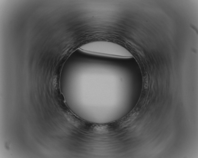 X0000092060560200709121008